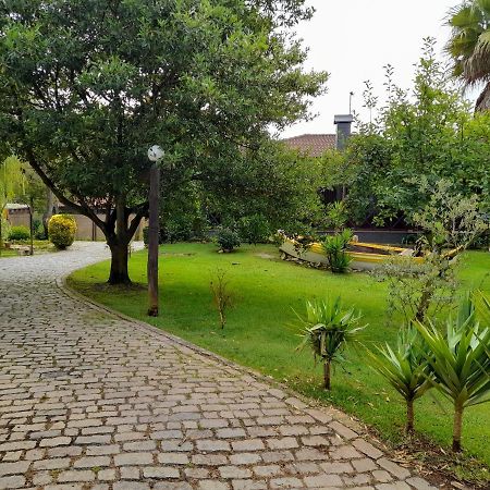 Villa Quinta Do Bosque Vagos Exterior foto